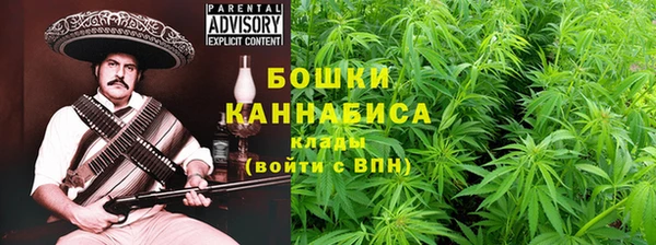 Альфа ПВП Няндома