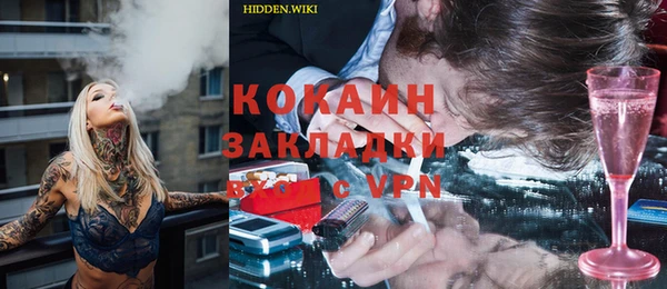 Альфа ПВП Няндома