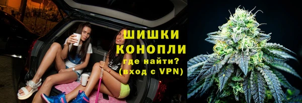 Альфа ПВП Няндома