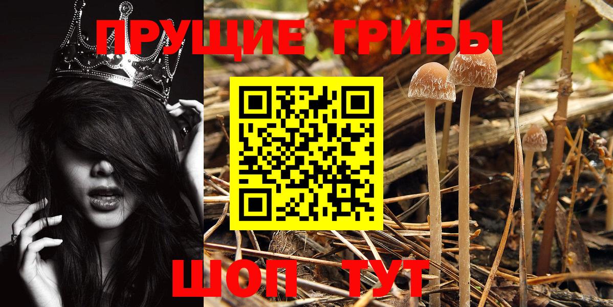 Галлюциногенные грибы Magic Shrooms Саки