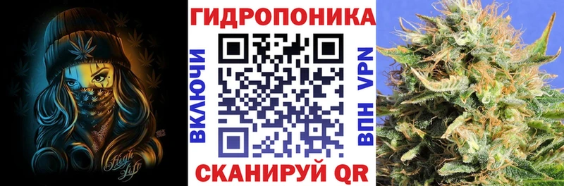 Бошки Шишки Amnesia  это клад  Саки 